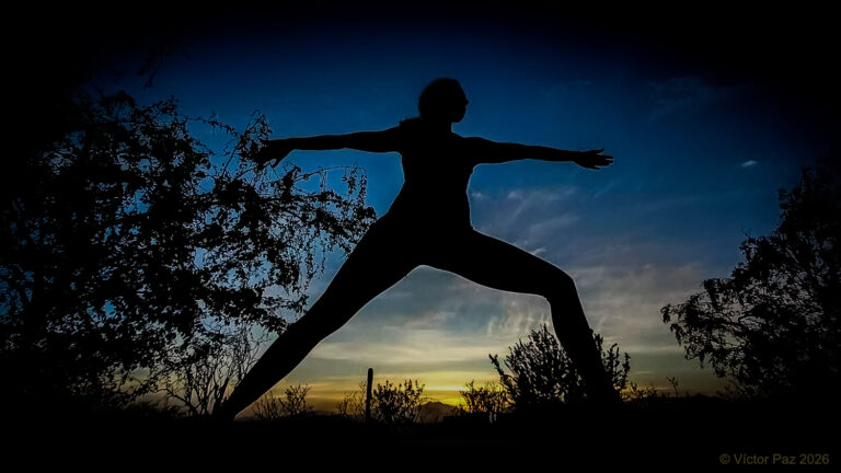 Eli Yoga 5 768x432