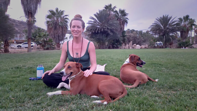 Ely Yoga 5 768x432